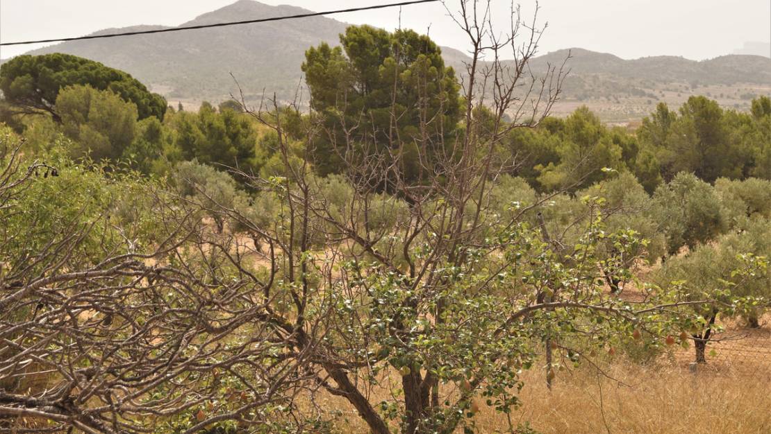 Venta - Country House - Salinas - Salinas Centro