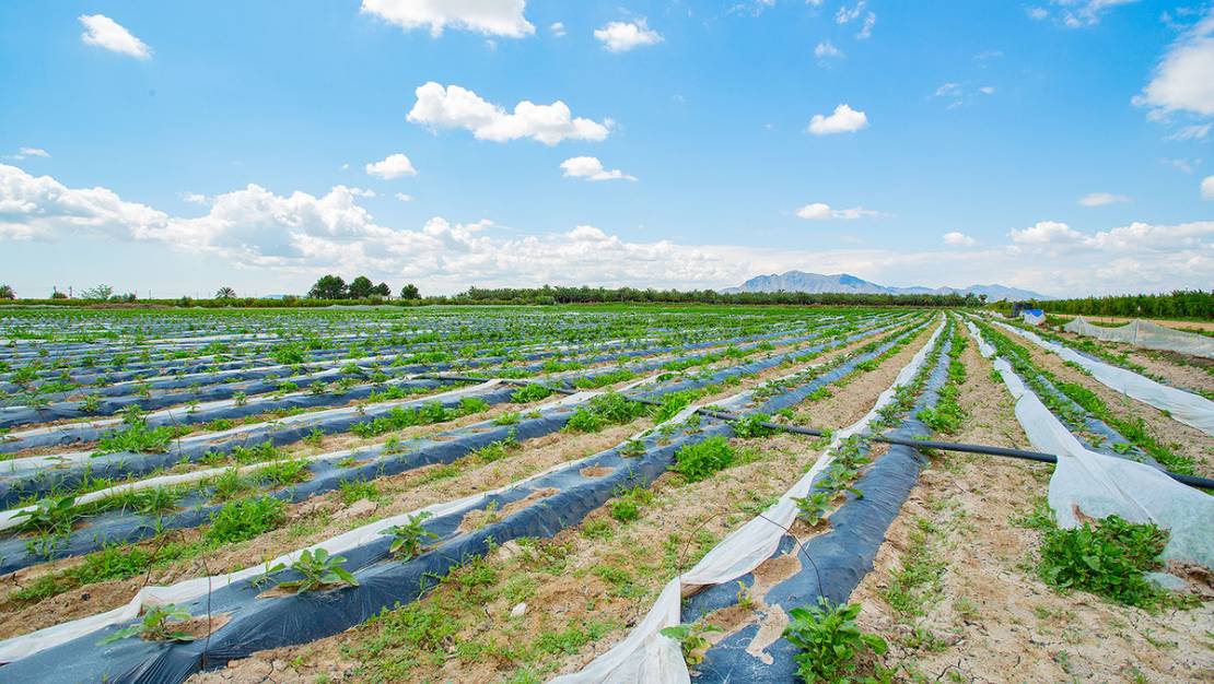 Venta - Country House - San Isidro - San Isidro Centro