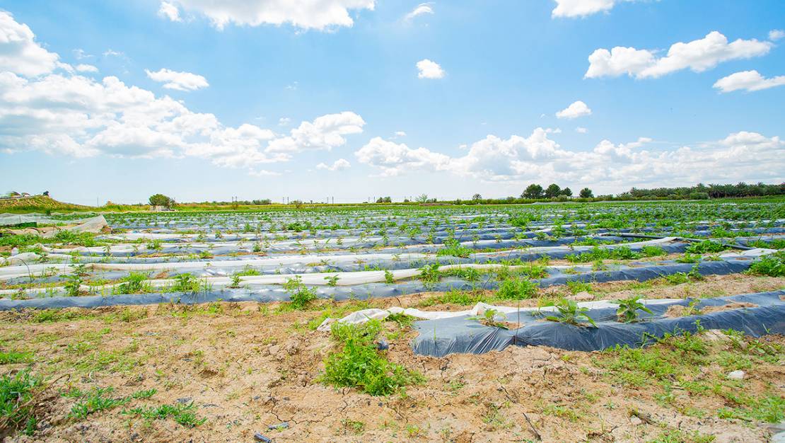 Venta - Country House - San Isidro - San Isidro Centro