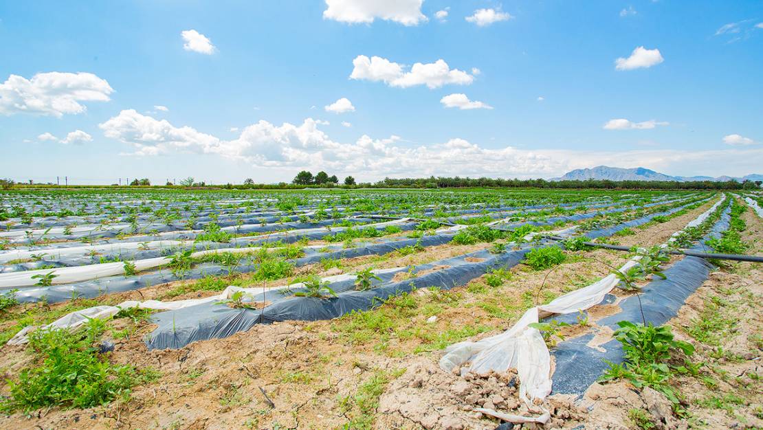 Venta - Country House - San Isidro - San Isidro Centro