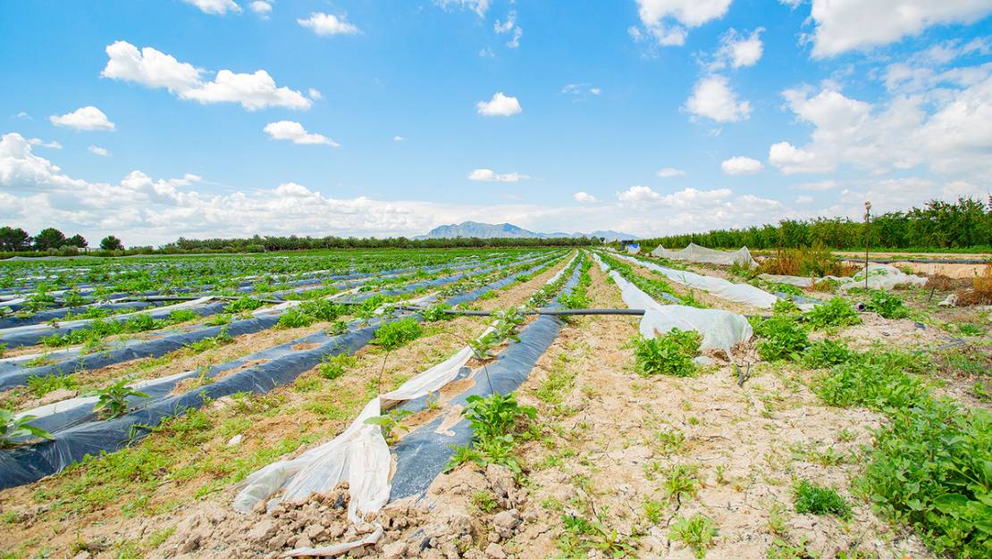 Venta - Country House - San Isidro - San Isidro Centro