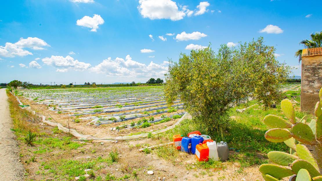 Venta - Country House - San Isidro - San Isidro Centro