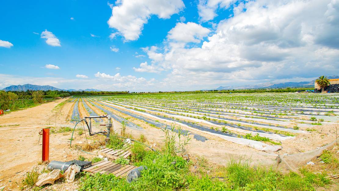 Venta - Country House - San Isidro - San Isidro Centro