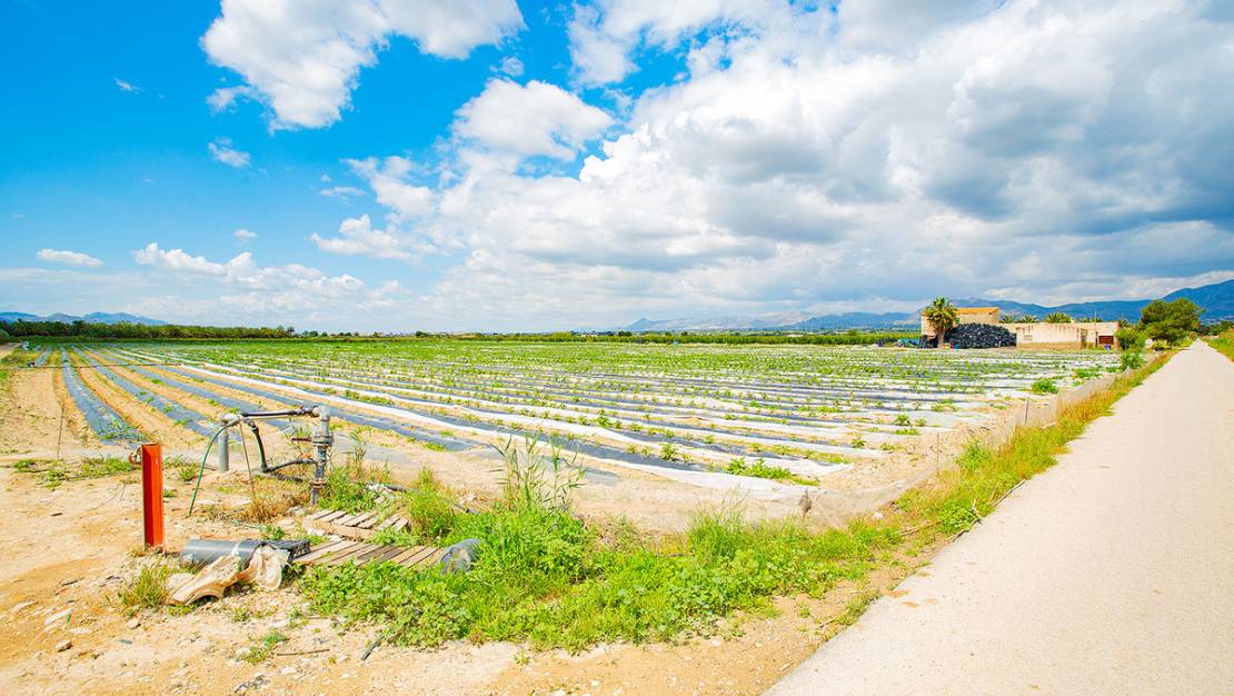 Venta - Country House - San Isidro - San Isidro Centro