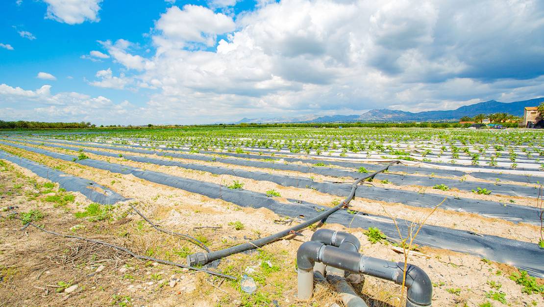 Venta - Country House - San Isidro - San Isidro Centro