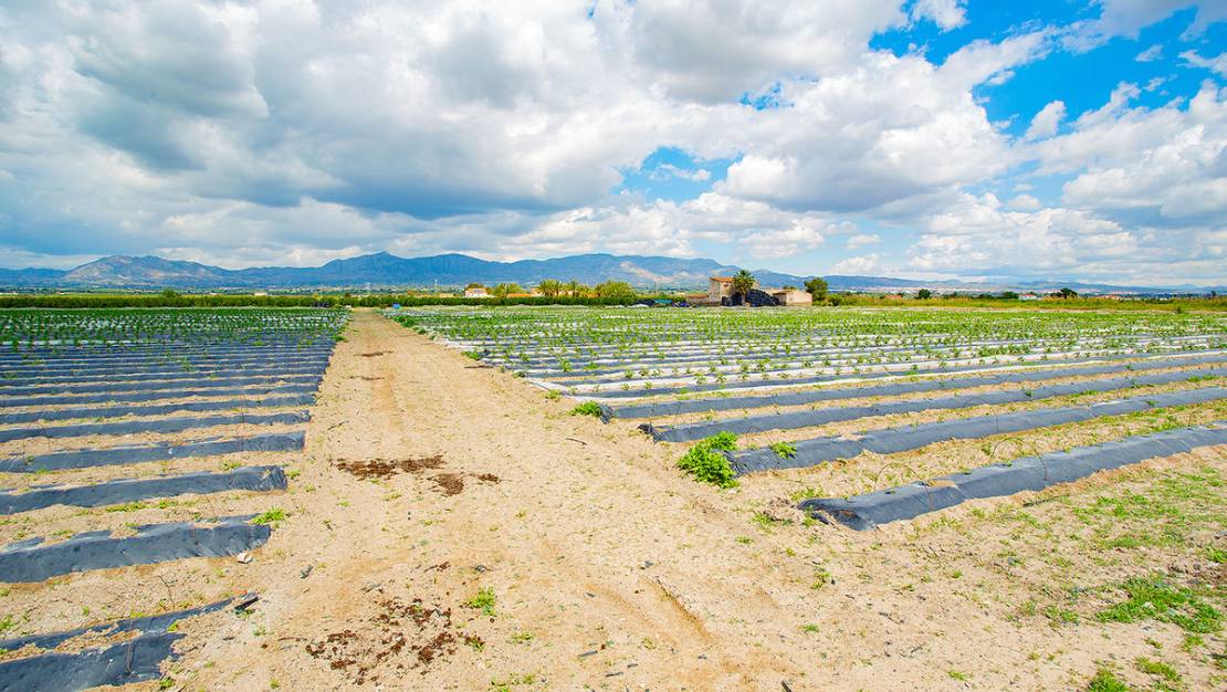 Venta - Country House - San Isidro - San Isidro Centro