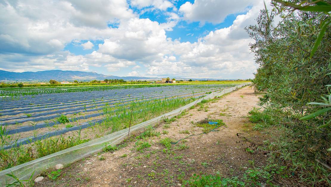 Venta - Country House - San Isidro - San Isidro Centro