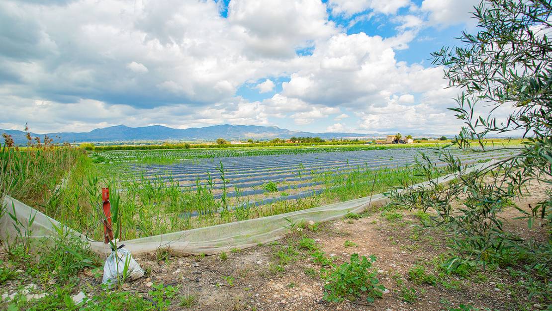 Venta - Country House - San Isidro - San Isidro Centro