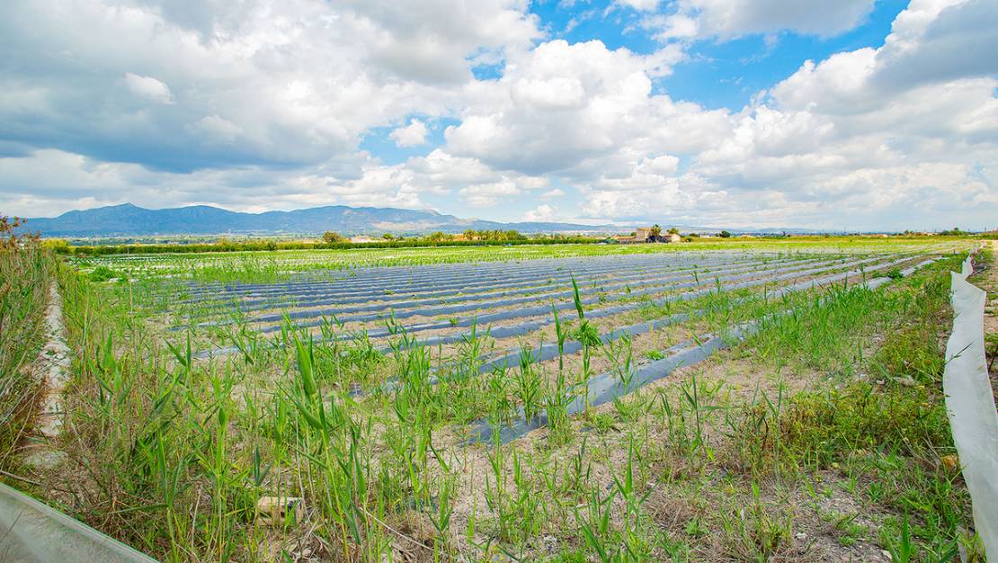 Venta - Country House - San Isidro - San Isidro Centro