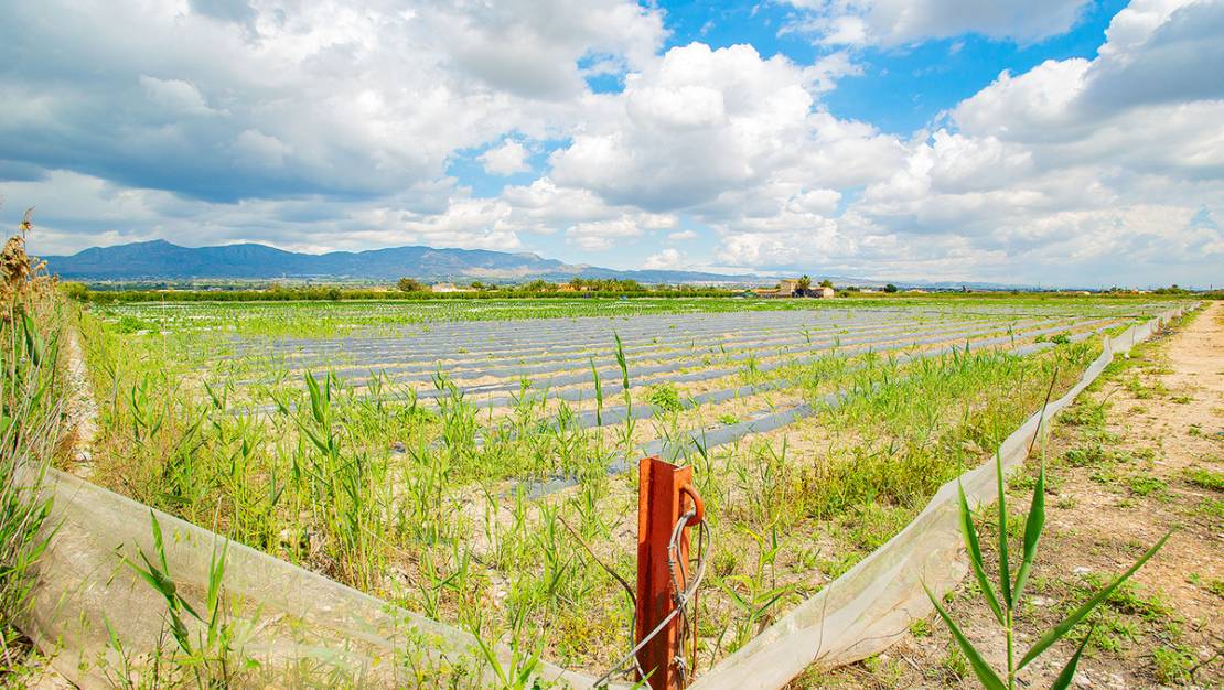 Venta - Country House - San Isidro - San Isidro Centro