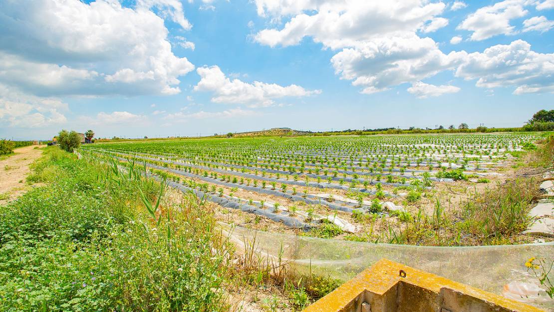 Venta - Country House - San Isidro - San Isidro Centro