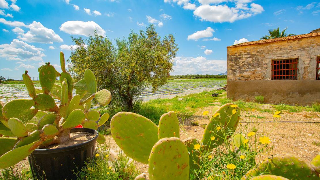 Venta - Country House - San Isidro - San Isidro Centro