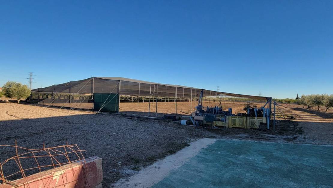 Venta - Country House - San Miguel de Salinas - San Miguel de Salinas Centro