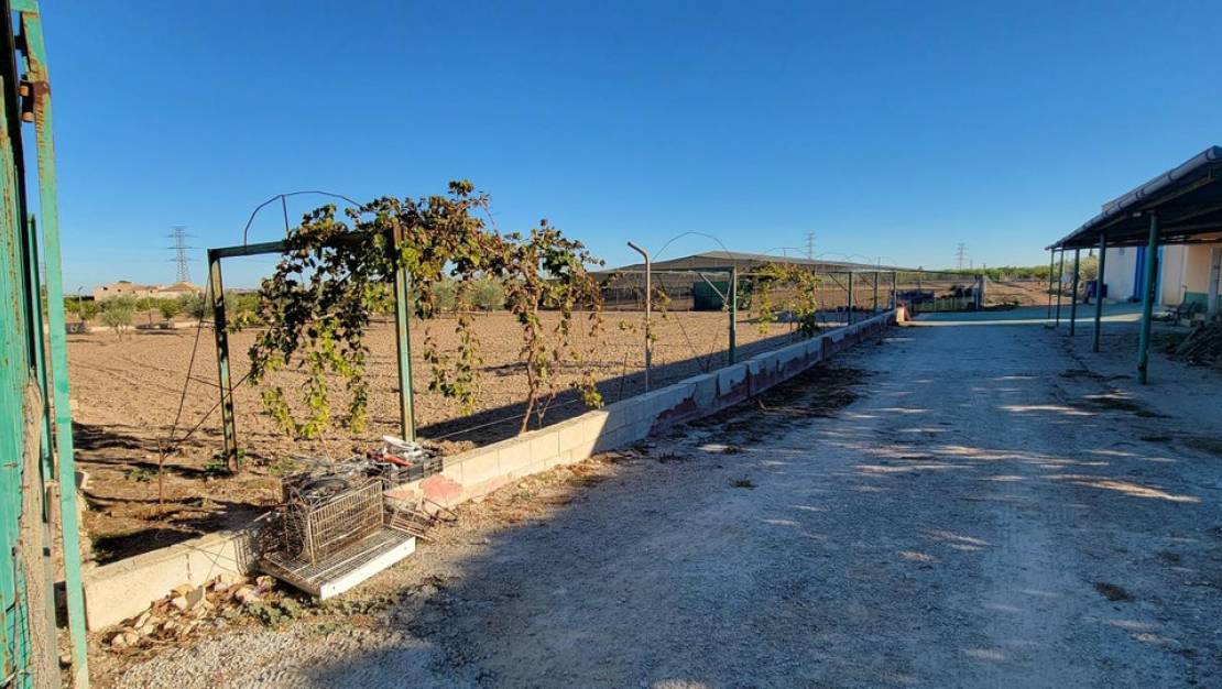 Venta - Country House - San Miguel de Salinas - San Miguel de Salinas Centro