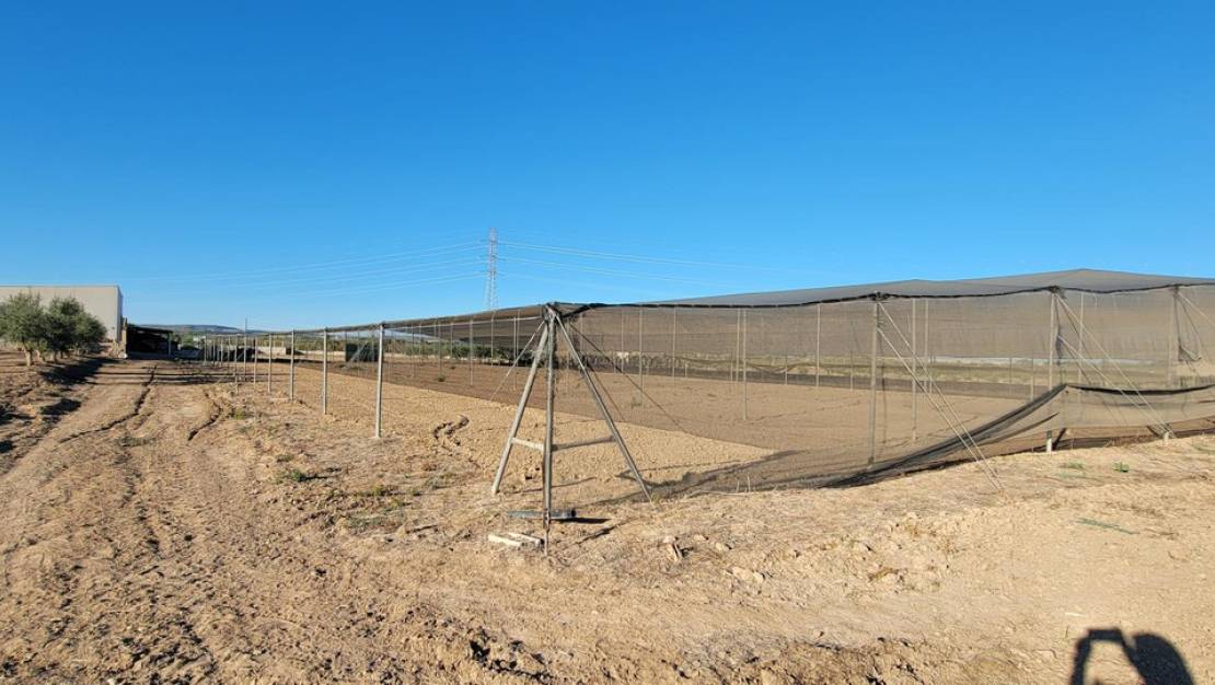 Venta - Country House - San Miguel de Salinas - San Miguel de Salinas Centro