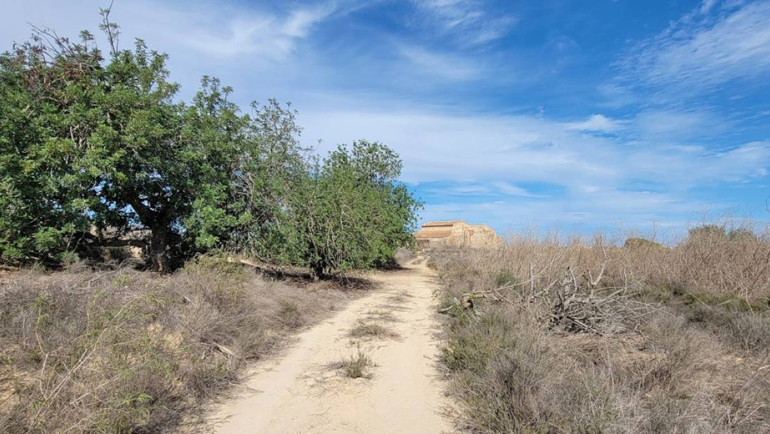 Venta - Country House - San Miguel de Salinas - San Miguel de Salinas Centro