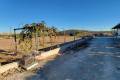 Venta - Country House - San Miguel de Salinas - San Miguel de Salinas Centro