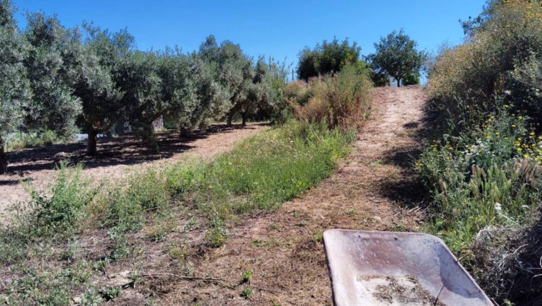 Venta - Country House - Teulada - Teulada Centro