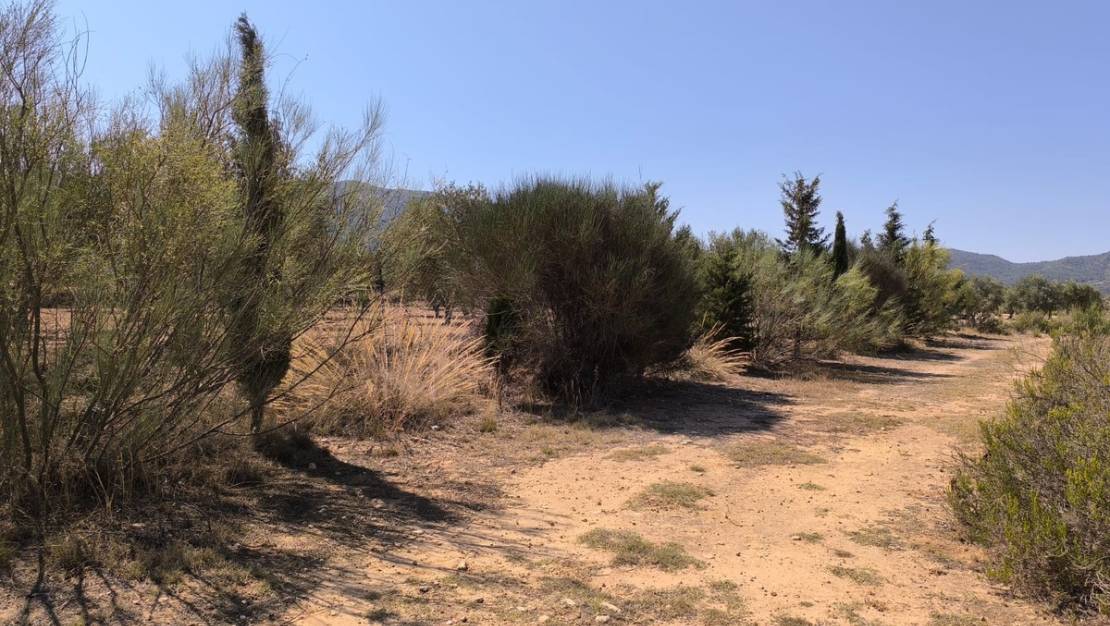 Venta - Country House - Villena - Villena Centro