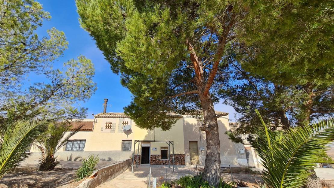 Venta - Country House - Yecla - Yecla Centro