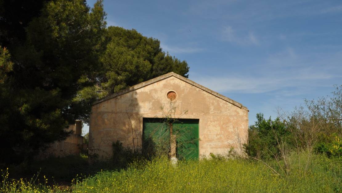 Venta - Country House - Yecla - Yecla Centro