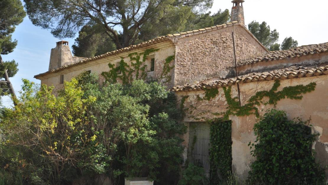 Venta - Country House - Yecla - Yecla Centro