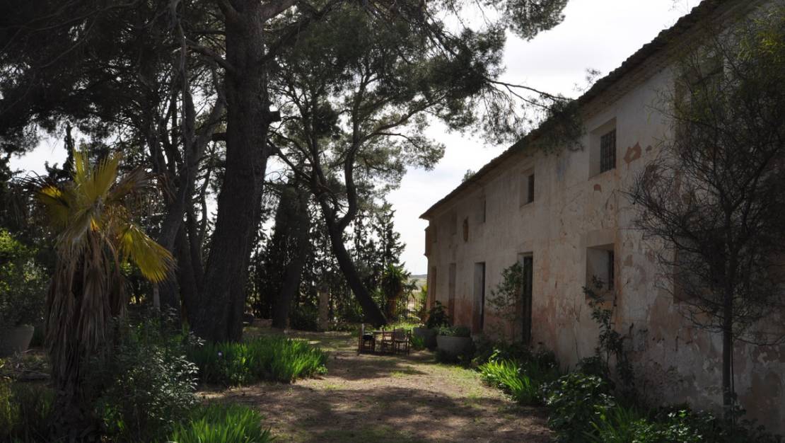 Venta - Country House - Yecla - Yecla Centro