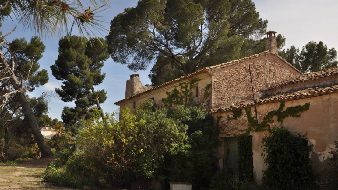 Venta - Country House - Yecla - Yecla Centro