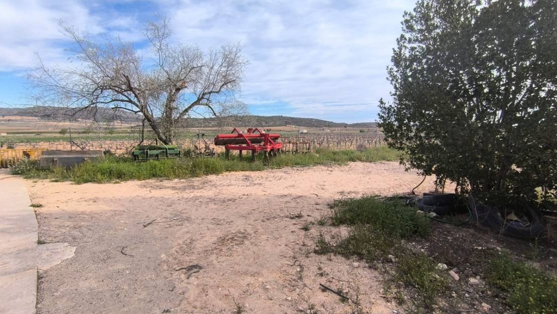 Venta - Country House - Yecla - Yecla Centro