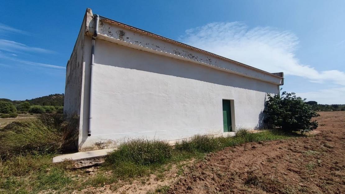 Venta - Country House - Yecla - Yecla Centro