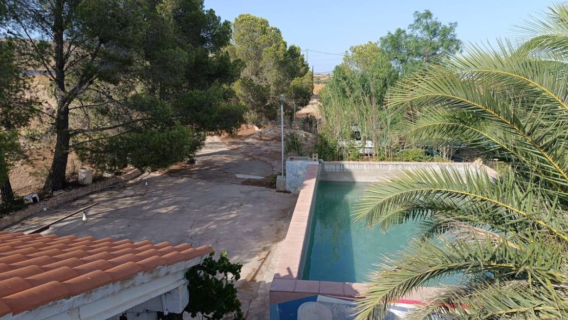 Venta - Country House - Yecla - Yecla Centro