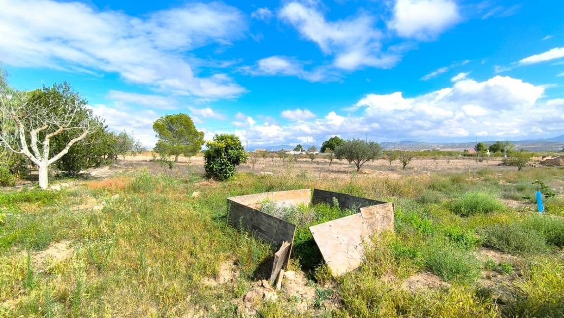 Venta - Country House - Yecla - Yecla Centro