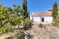 Venta - Country House - Yecla - Yecla Centro