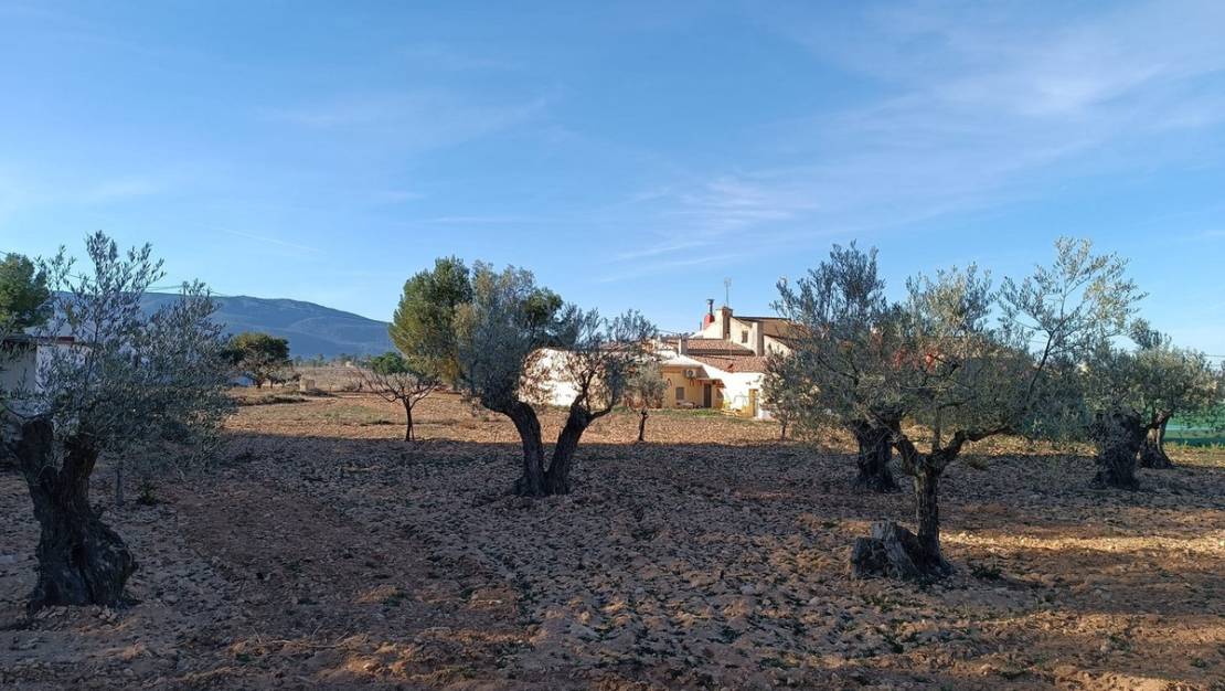 Venta - Country House - Yecla - Yecla Centro
