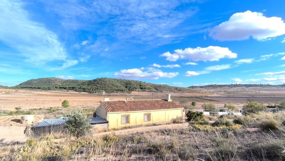 Venta - Country House - Yecla - Yecla Centro