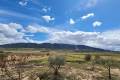 Venta - Country House - Yecla - Yecla Centro