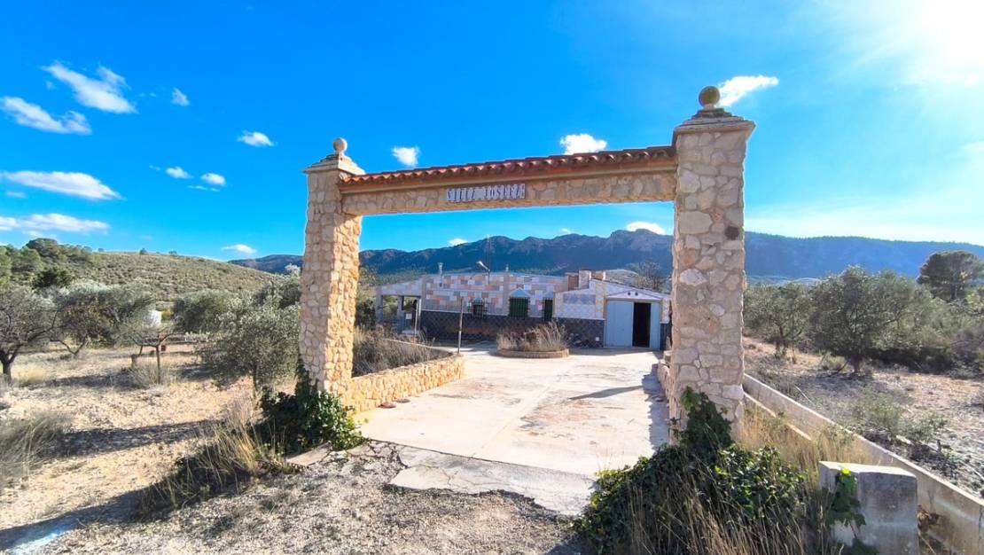 Venta - Country House - Yecla - Yecla Centro