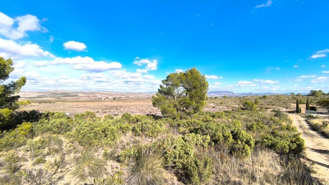 Venta - Country House - Yecla - Yecla Centro