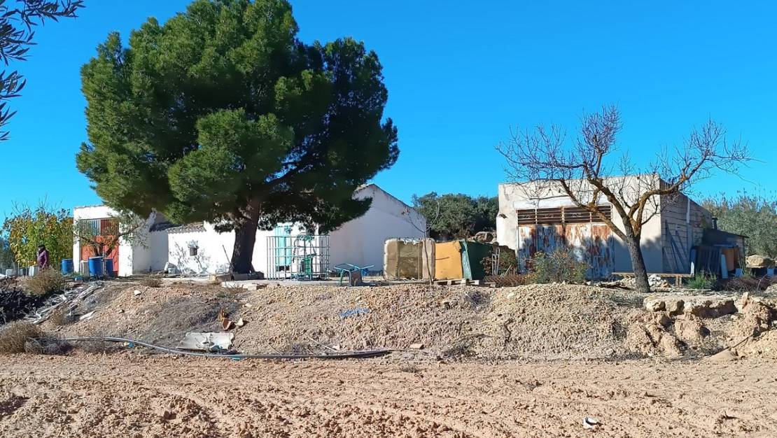 Venta - Country House - Yecla - Yecla Centro