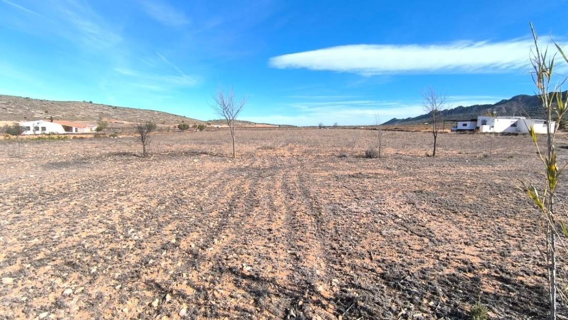 Venta - Country House - Yecla - Yecla Centro