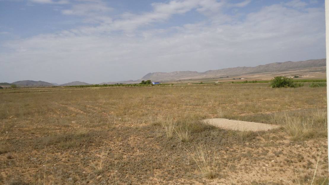 Venta - Country House - Yecla - Yecla Centro