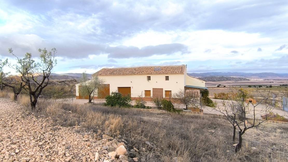 Venta - Country House - Yecla - Yecla Centro