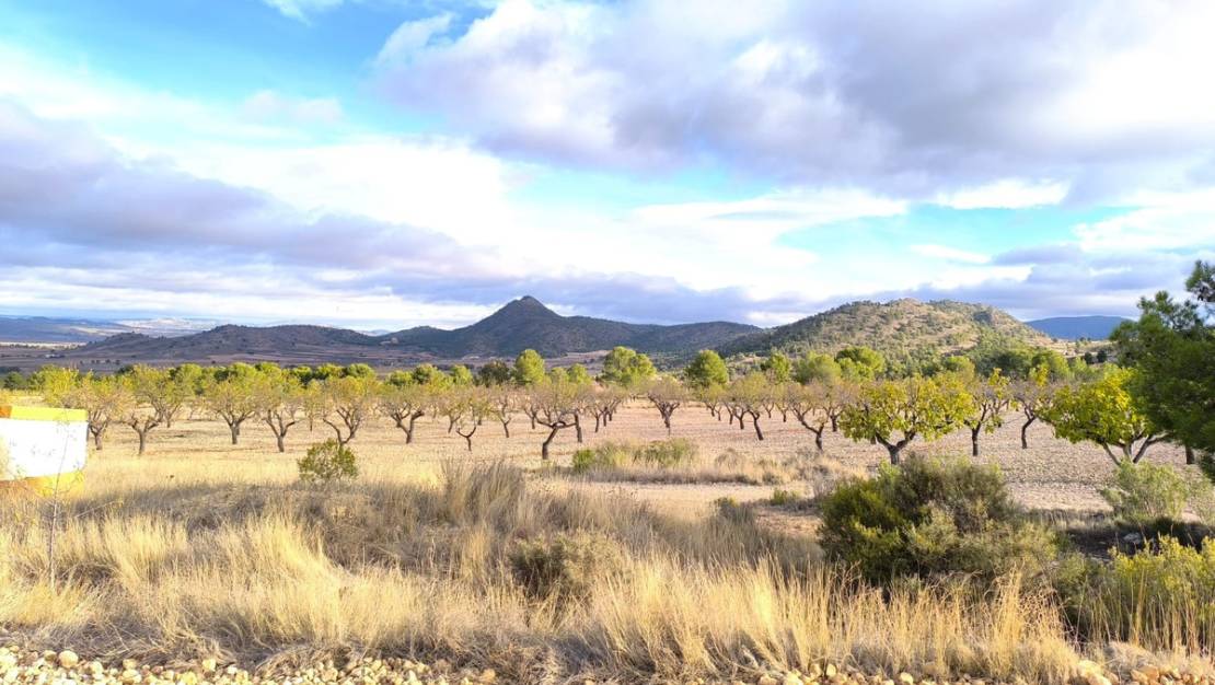 Venta - Country House - Yecla - Yecla Centro