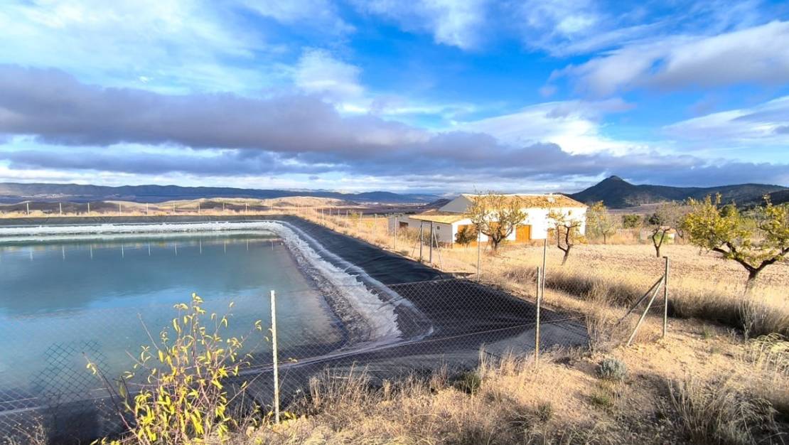 Venta - Country House - Yecla - Yecla Centro