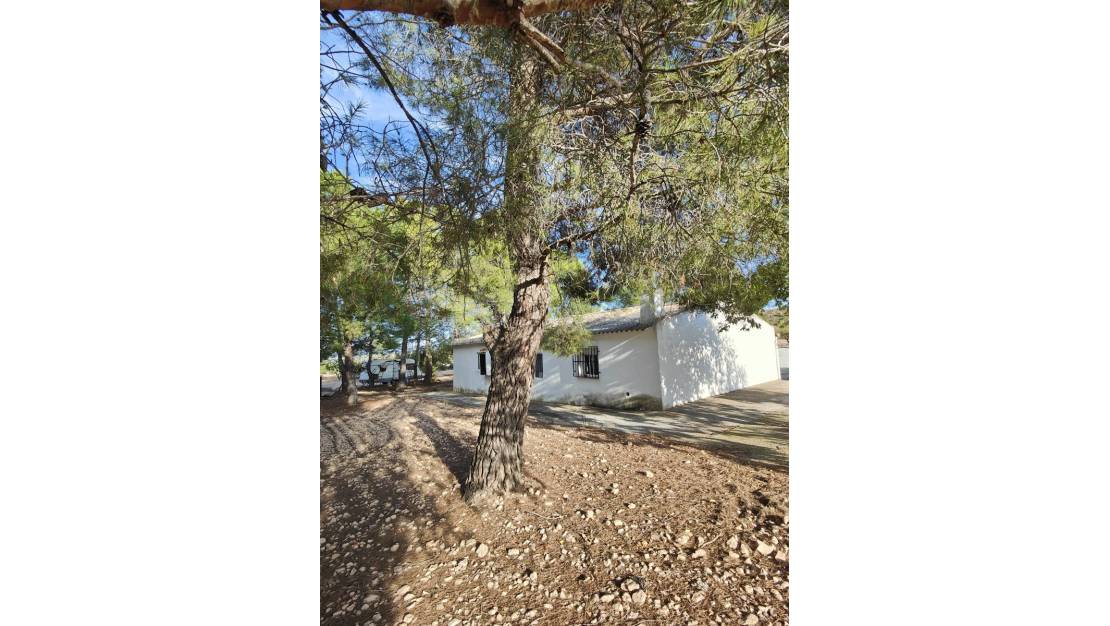 Venta - Country House - Yecla - Yecla Centro