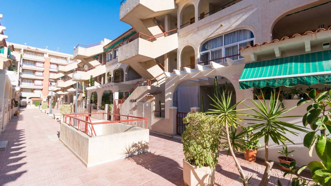 Venta - Duplex - Torrevieja - Acequion