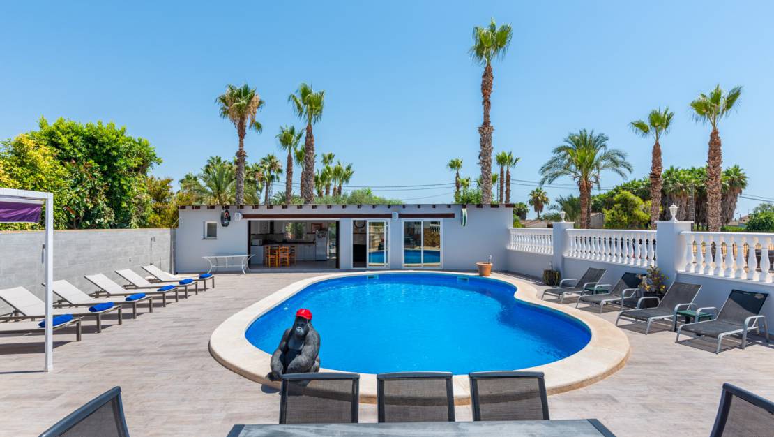 Venta - Finca / Country Property - Catral