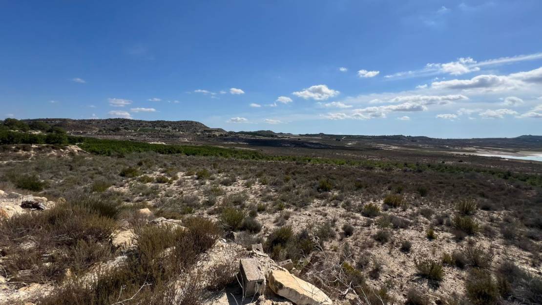 Venta - Finca / Country Property - Orihuela - Torremendo
