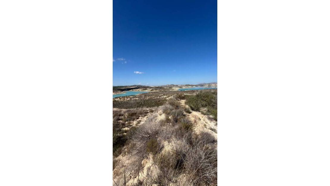 Venta - Finca / Country Property - Orihuela - Torremendo