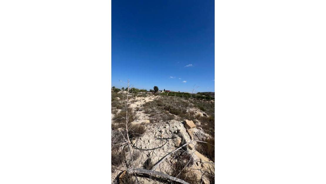 Venta - Finca / Country Property - Orihuela - Torremendo